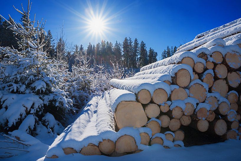 Holzstoß im Winterwald von SusaZoom