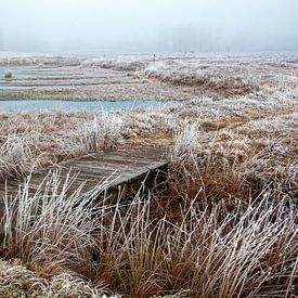 Frozen Winter von Bas Hermsen