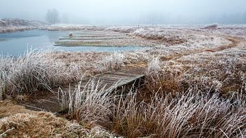 Frozen winter van Bas Hermsen