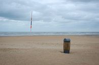 Mülleimer am Strand von Johan Vanbockryck Miniaturansicht