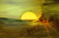 Dawn