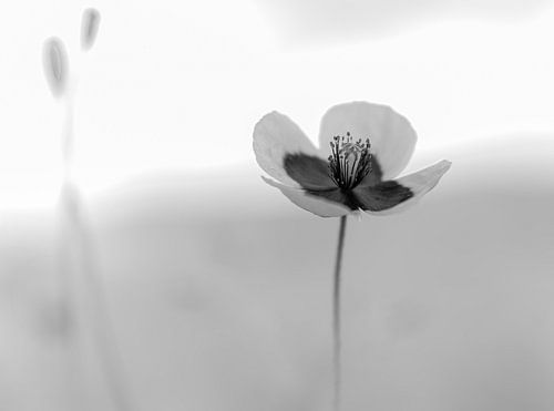 met oprechte deelneming