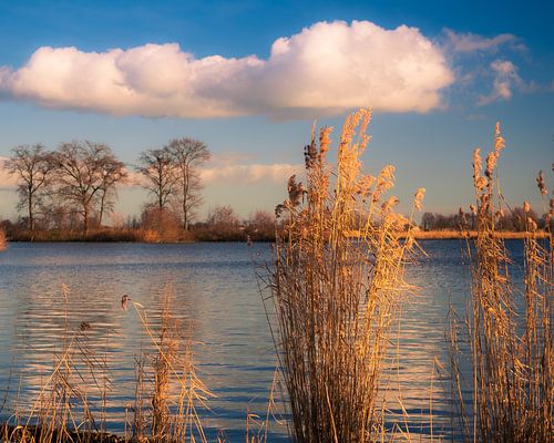 Goldenes Leuchten an den Seen von Reeuwijk von Pensierino by Barbara