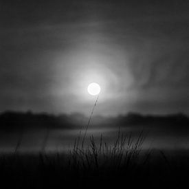 Lever de soleil brumeux en noir et blanc sur Laura-anne Grimbergen