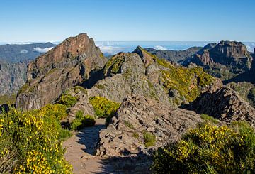 Madeira by Eva Rusman