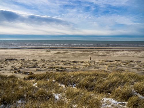 WAL - Wide Area Landscape