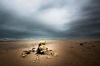 Wenduine - hommage in stormy weather