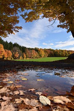 Het Landschap van de herfst van Claude Laprise