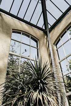 Hortus Botanicus Amsterdam, Botanical Garden