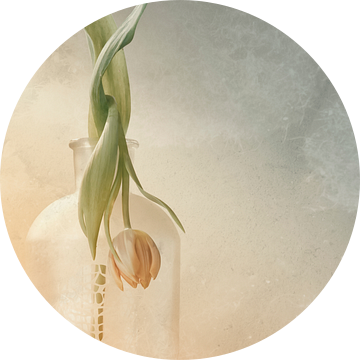 Tulp in verval van Ellen Driesse