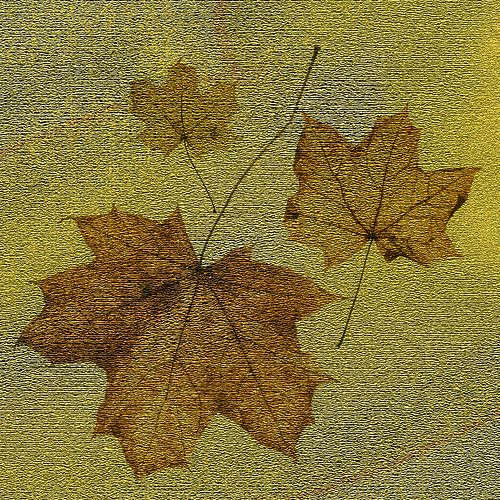 Bladeren: Golden treasure