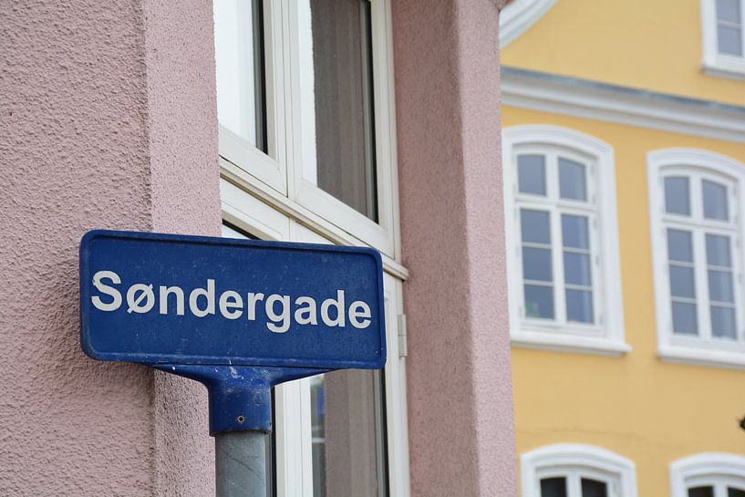 Le Danemark en détail par Sander van Deventer