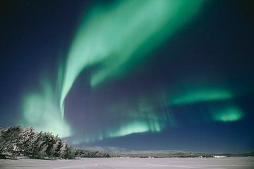 Northern lights | travel photography print | Inari Lapland Finland by Kimberley Jekel