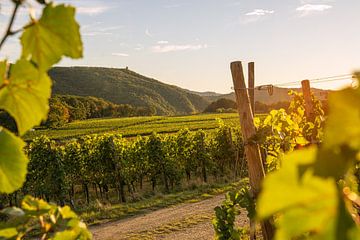 Ahrtal, Rheinland-Pfalz, Deutschland von Alexander Ludwig