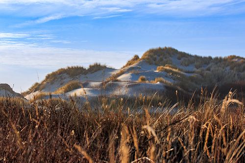 Duinen op de Boschplaat, Terschelling.