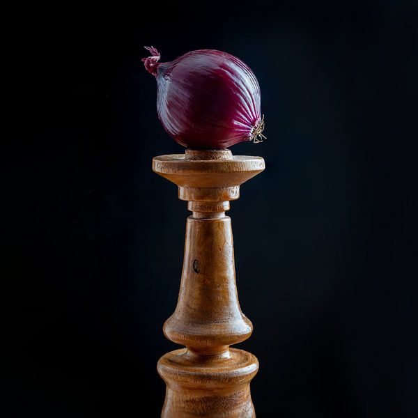 Zwiebel von Diane Cruysberghs