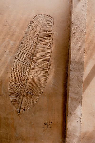 Terracotta wall with leaf shape and shadow play by Annelene Simonse
