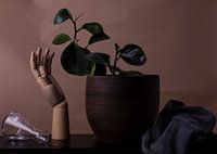 Stilleven met een omgevallen erlenmeyer, hand, plant en keukenhandddoek.