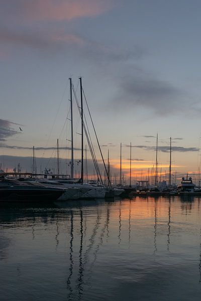 Guten Morgen, Palma de Mallorca von Nina Rotim
