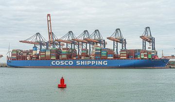 Cosco Shipping Leo Containerschiff. von Jaap van den Berg