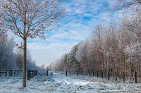 winterlandschap 