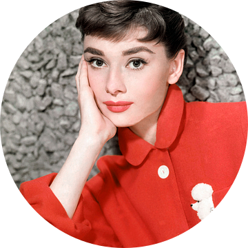 Audrey Hepburn in de film 'Sabrina'... van Bridgeman Images