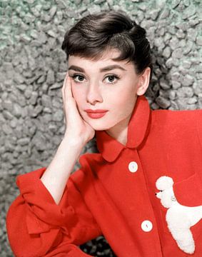 Audrey Hepburn in the movie 'Sabrina' by Bridgeman Images