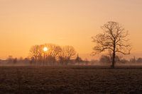 Het dorp