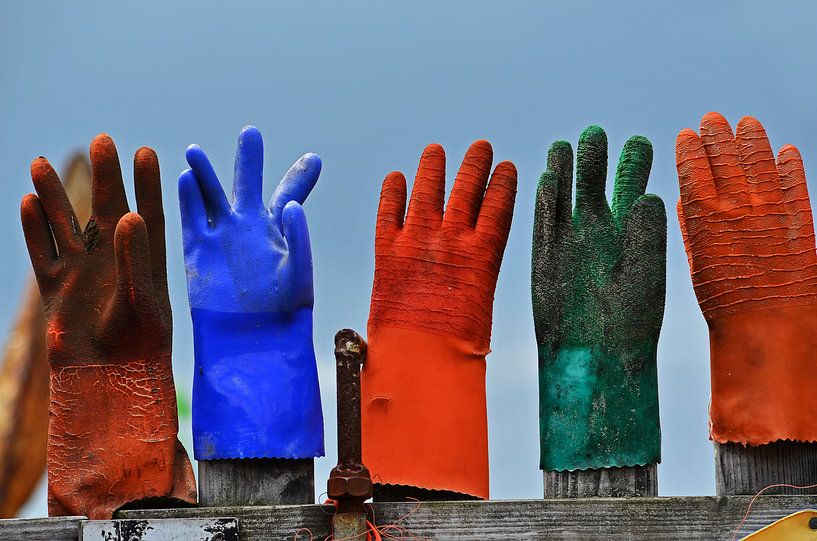 Helping Hands by Wim van der Geest