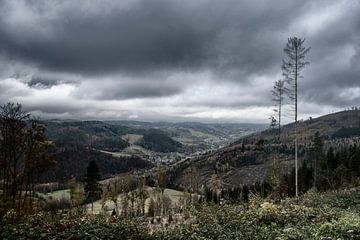 Dramatisch Berglandschap in de Herfst – Wanddecoratie voor Luxe Interieurs van Elianne van Turennout