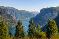 Aurlandsfjord in Norway with a cruise ship sailing into the fjord by Sjoerd van der Wal Photography thumbnail