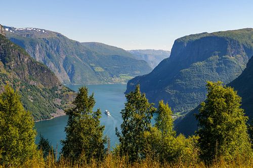 Aurlandsfjord in Noorwegen met een cruiseschip dat het fjord binnenvaart