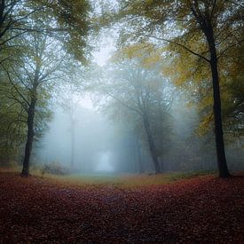 Misty Forest 2 by Mireille Breen