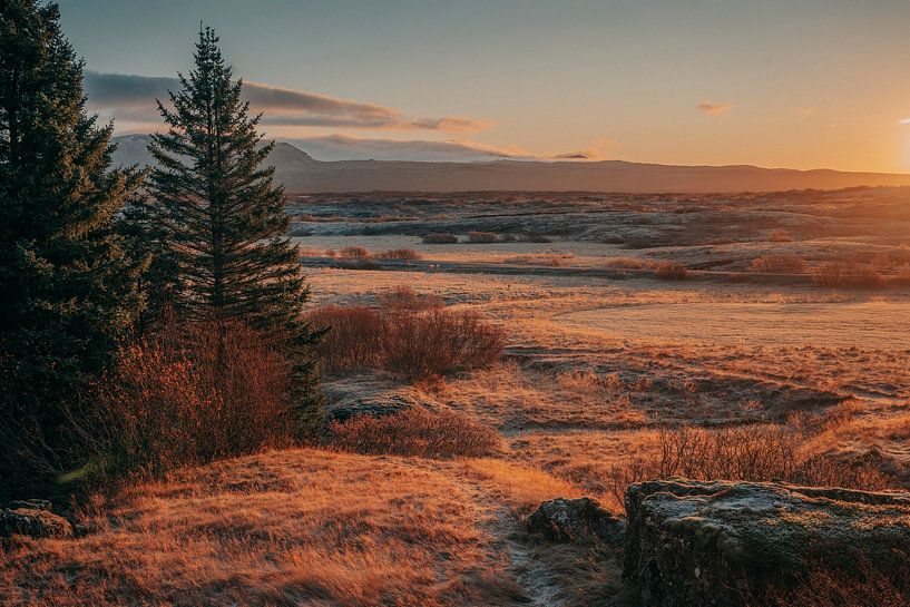 Paysage d'Islande par Vincent Versluis
