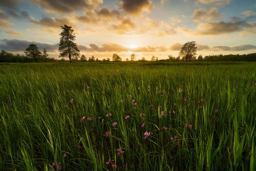 Zonsondergangen Weerribben Wieden von Rick Kloekke