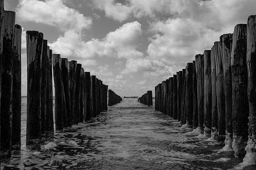 zoutelande zwart wit