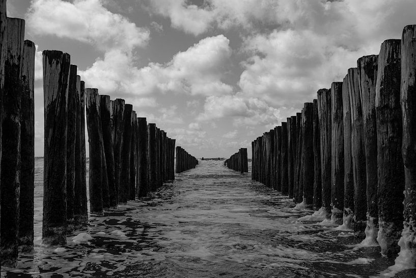 zoutelande black and white by Nienke Stegeman