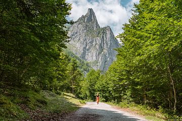Bergweg met wandelaar in Frankrijk van Martijn Joosse