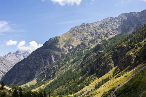 Groene bergwand in Nationaal parc des Ecrins