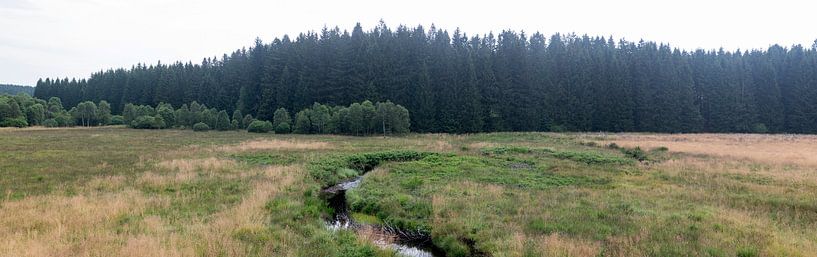 Rudder in Belgium by Richard Wareham