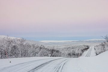 Winterse weg door Noorwegen van Peter Boon