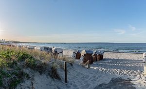 Panorama Strandkörbe am Strand in Binz