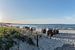 Panorama Strandkörbe am Strand in Binz von GH Foto & Artdesign