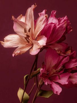 Deep red flowers by Esmeé Kiewiet