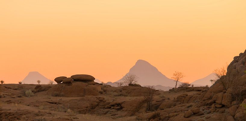 Woestijnlandschap na zonsondergang van Bas Ronteltap