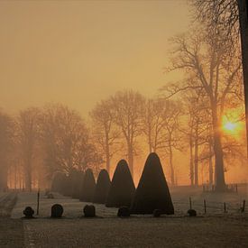 Magische zonsopgang kasteeltuin Heeswijk_Dinther van Mieke van Helvoirt