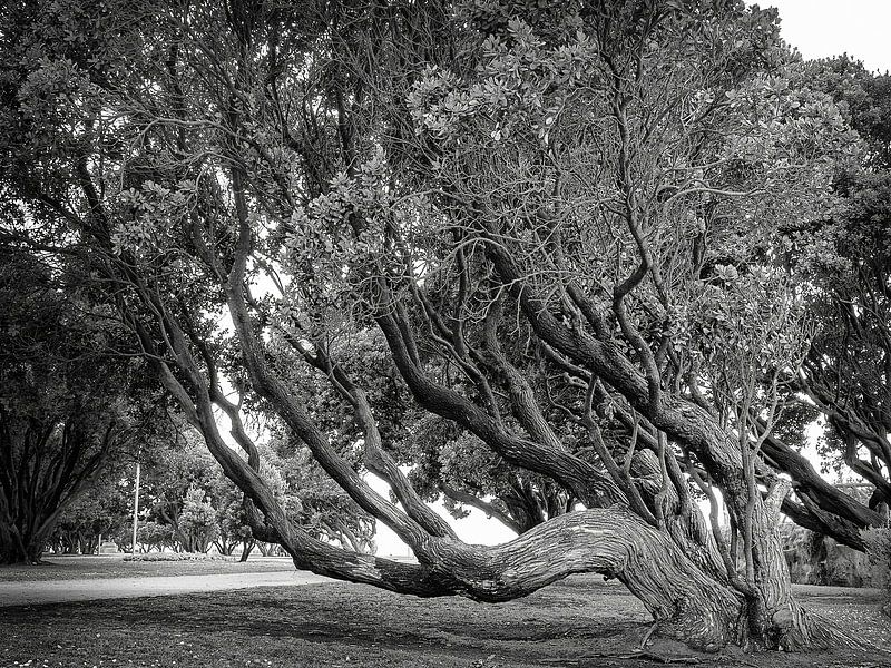 Porto XVIII by Michael Schulz-Dostal