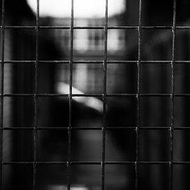 Behind bars by Nataly Haneen
