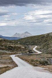 Norwegen | Serpentinenstraße zum Store Sølnkletten von Dylan Winter Visuals