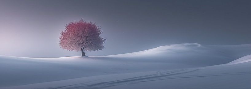 Eisige Einsamkeit bei Sonnenuntergang von fernlichtsicht
